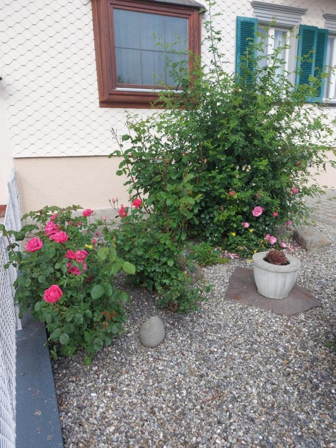 Ferienhaus Und Ferienappartements Brunner Höchst Kültér fotó